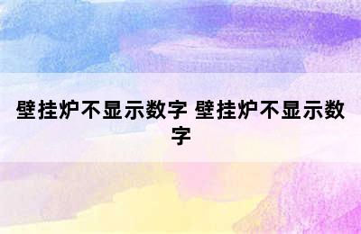 壁挂炉不显示数字 壁挂炉不显示数字